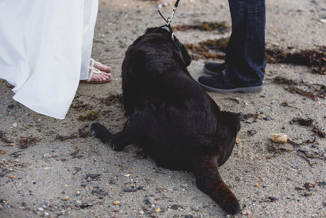 Elopement Photographer