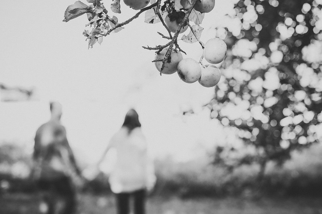 Maine Photographer