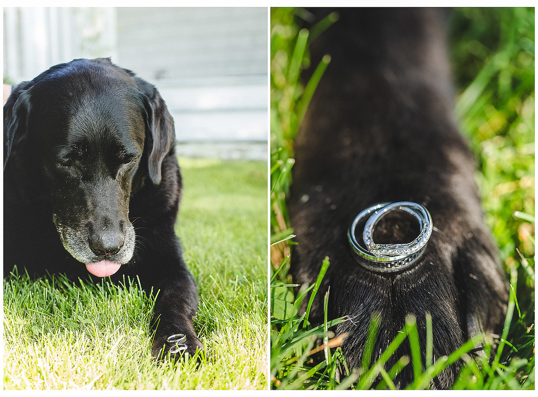 Elopement Photographer