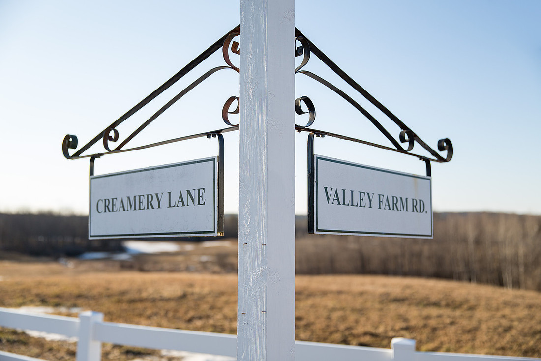 Pineland Farms Engagement Session